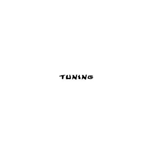 Abtibild parasolar "Tuning" parbriz sau luneta diverse culori Cod: DZ-PRS-TN — imaginea 2