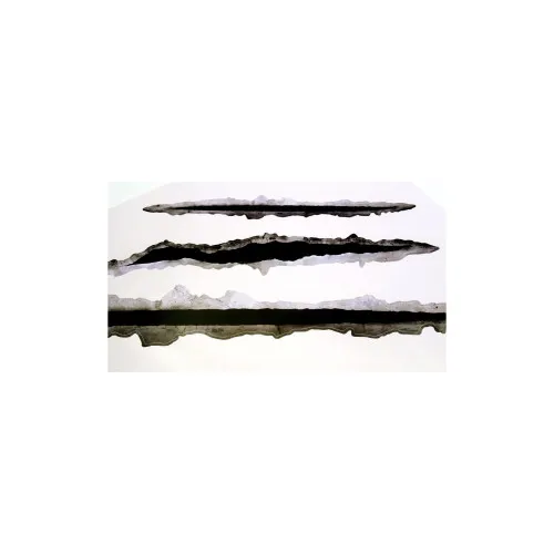Abtibild urme gheara auto decorativ 22x28cm — imaginea 2