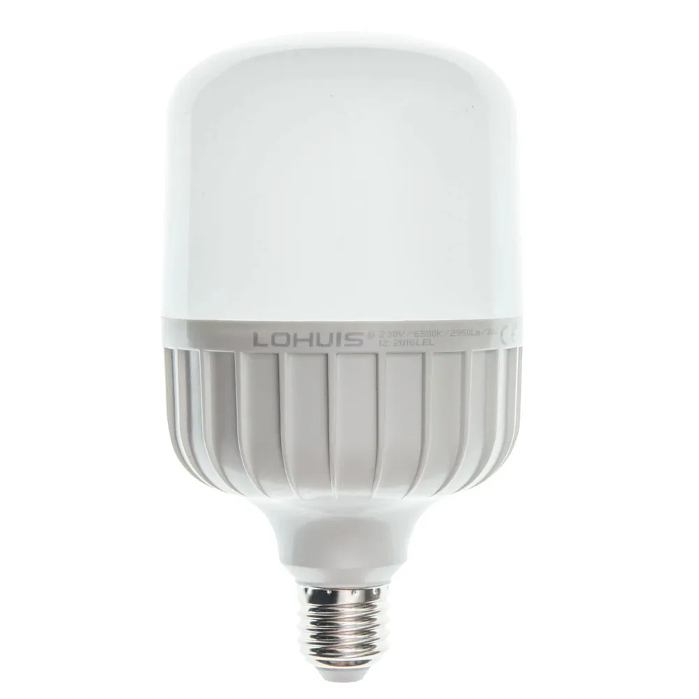 Bec LED Lohuis tubular T100 E27 30 W 2950 lm lumina rece 6500 K