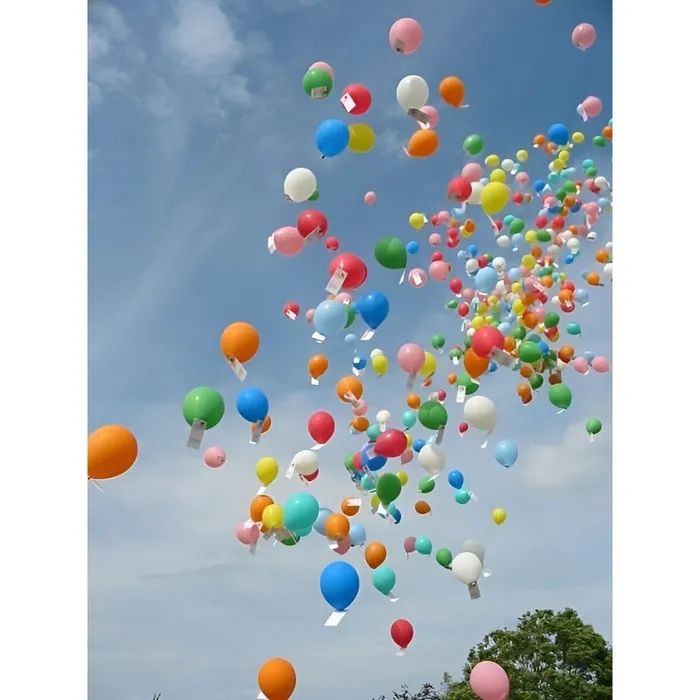 Butelie cu heliu, pentru baloane, 13.5 l, Brogaz, 50 baloane — imaginea 6