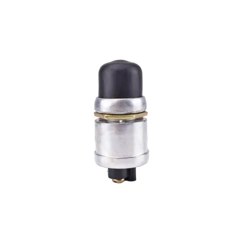 Buton pornire 12V / 01192 — imaginea 3