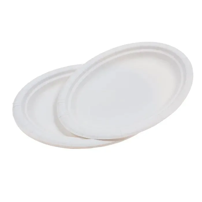 Farfurii ovale din carton, nelaminate, alb, D 26 cm, set 10 bucati