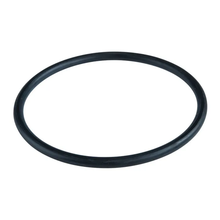 Garnitura filtru apa, ATLAS Filtri, O-Ring Mignon