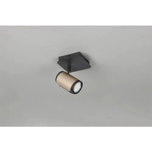 Spot aplicat Gillian, metal, negru, 10W, 120mm