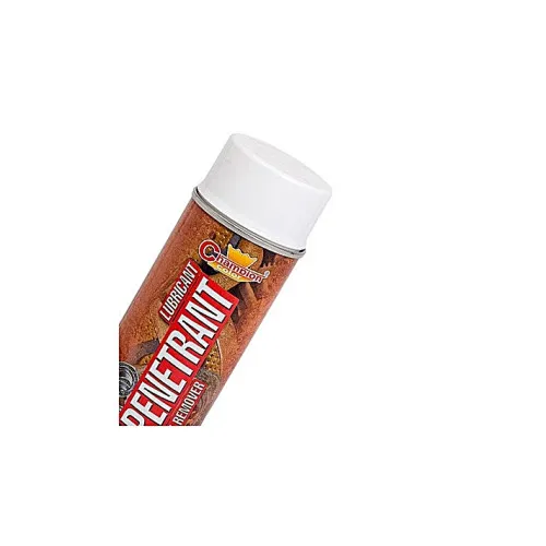 Spray vopsea degripant Champion profesional 400ml — imaginea 2