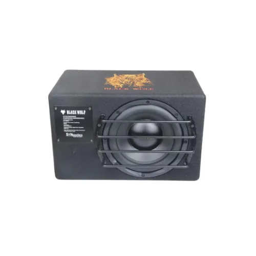 Subwoofer cu amplificator inclus 10 inch